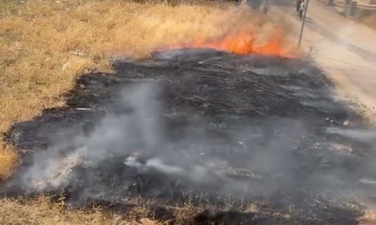 Elazığ'da Otluk Alan Yangını Kontrol Altına Alındı - Haberleri - Son Dakika Bilgileri