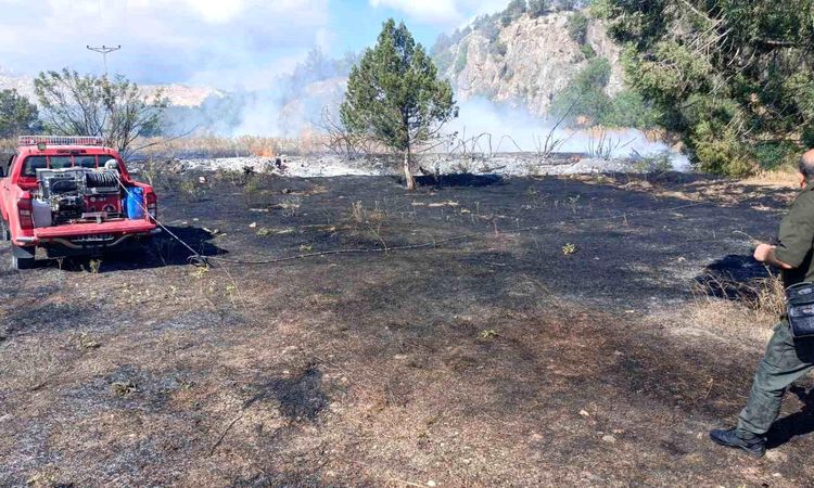 Flames caused by a power pole turned a 3-decare area into ashes - Last Minute