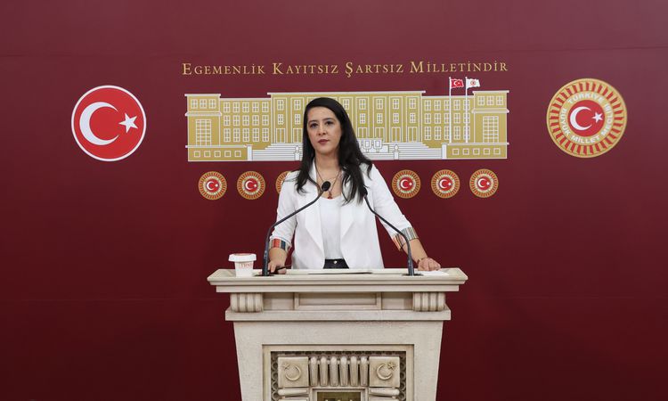 EMEP'li Karaca, karma eğitime karşı yürütülen kampanyaları TBMM gündemine taşıdı ve Merak Edilenler
