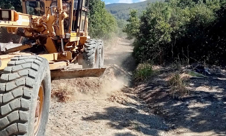 Erdek'te zeytin hasadı öncesi tahribata uğrayan bahçe yolları düzenleniyor ve Merak Edilenler