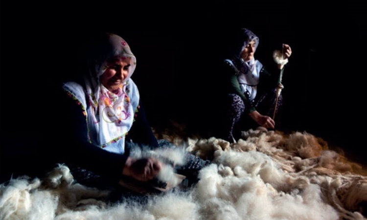 Erzincan'daki 2 fotoğraf Tarım ve Orman Bakanlığı yarışmasında sergilenmeye değer bulundu | İşte Tüm Ayrıntıla