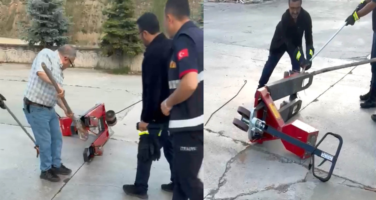 Ayrıntılar Netleşti: Fabrikaya giren yılan ortalığı karıştırdı - Son Dakika ve Merak Edilenler