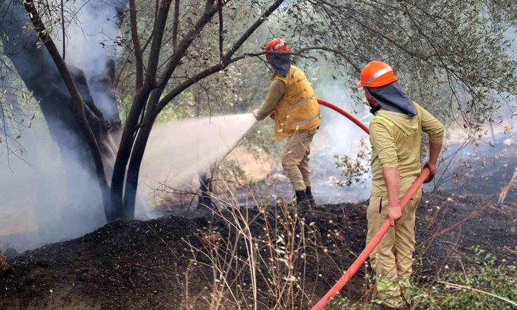 Fethiye'deki alevlerın enerjisi düşürüldü - Son Dakika: Gelişmeler Takip Ediliyor