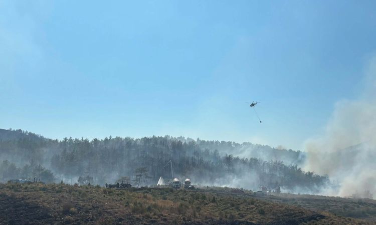 Son Gelişme: Fethiye'deki orman alevlerının enerjisi düşürüldü - Son Dakika - Son Dakika Bilgileri