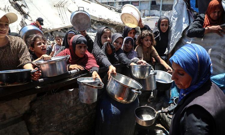 Palestine: Food and Social Safety Net in Danger of Collapse in Gaza - Last Minute