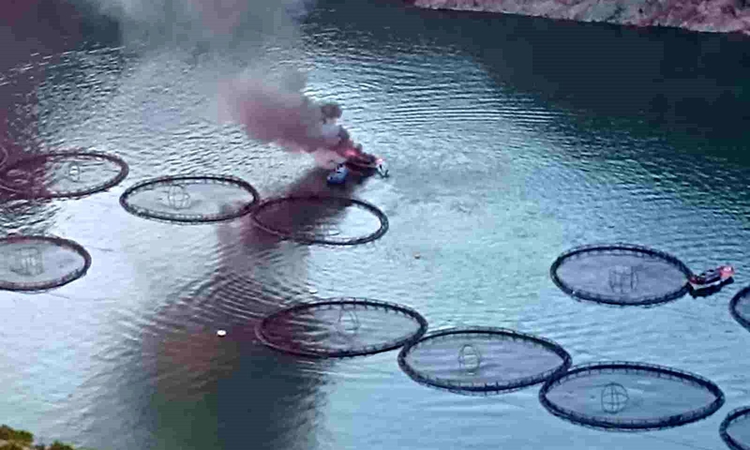 Boat caught fire in Euphrates River - News