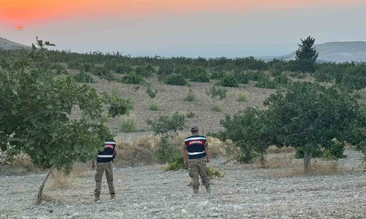 Sıcak Gündem: Fıstık Sezonunda Jandarmadan Gece Gündüz Güvenlik Devriyesi - Son Dakika - Son Dakika Bilgileri
