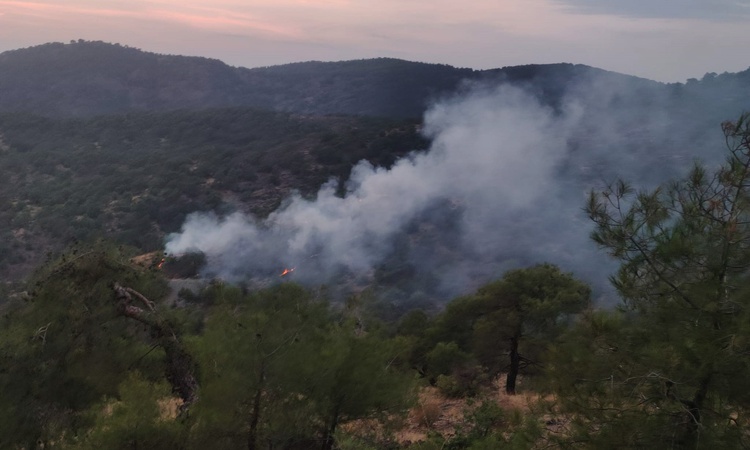 Gaziantep İslahiye'de orman yangını kontrol altına alındı, 4 dönüm alan zarar gördü ve Merak Edilenler