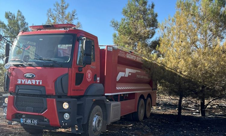 Kritik Açıklama: Gaziantep'te orman alevlerı dizginlendi - Son Dakika Haberleri - Son Dakika Bilgileri