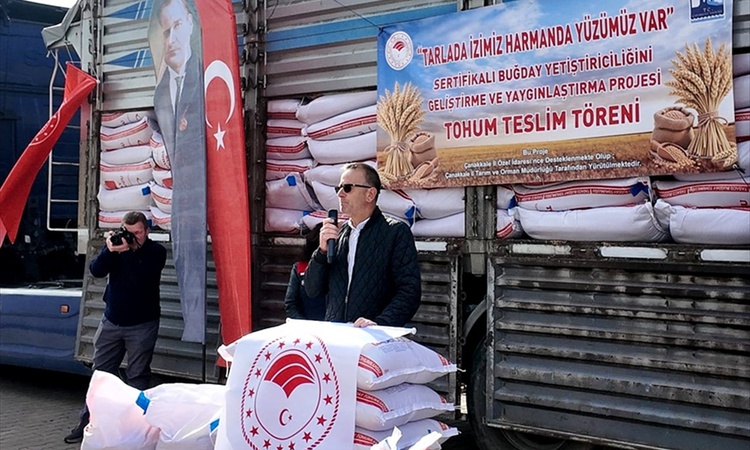 Gelibolu Ziraat Odası ve İl Tarım 52 üreticiye 61 ton buğday tohumu dağıttı | İşte Tüm Ayrıntılar