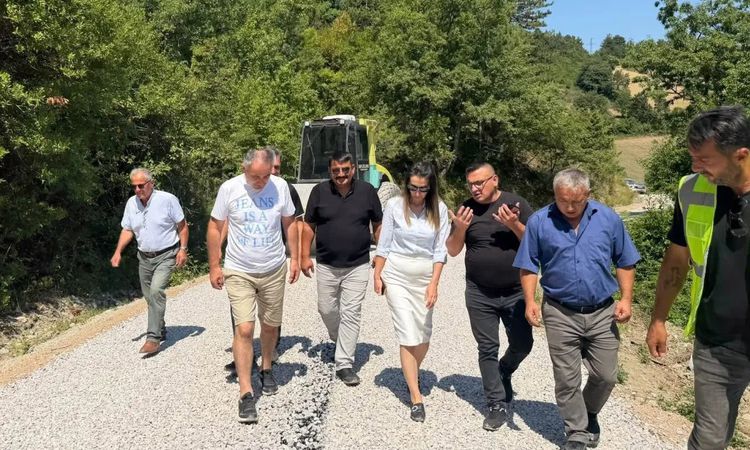 Ayrıntılar Netleşti: Gerze Kaymakamı'ndan Abdaloğlu köyü yol çalışmalarına inceleme - Son Dakika
