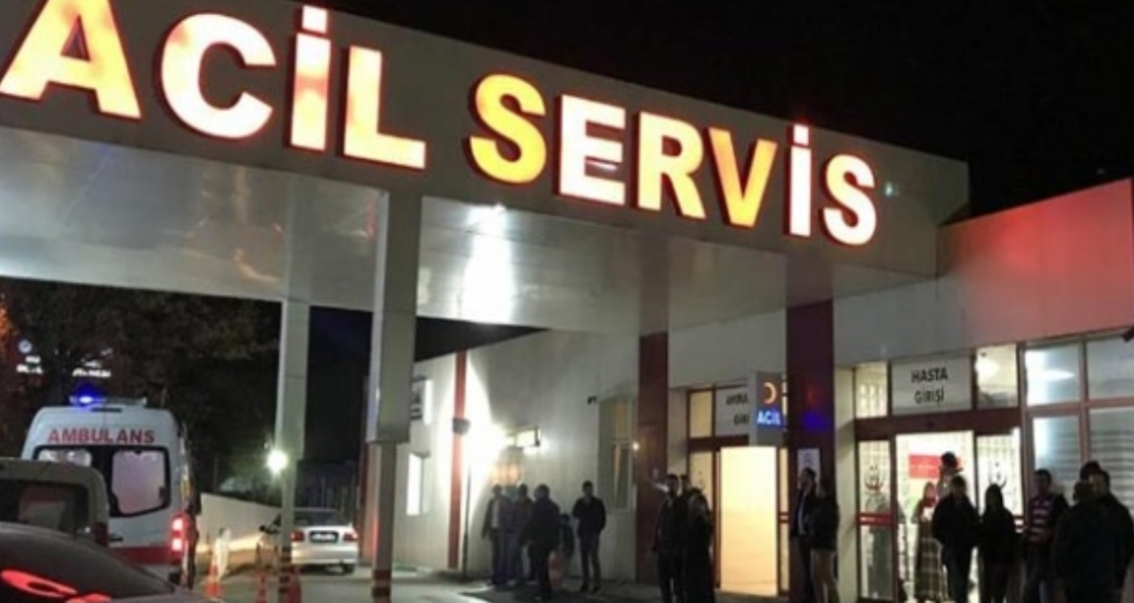 The person who fell from the tree in Giresun lost his life - Breaking News