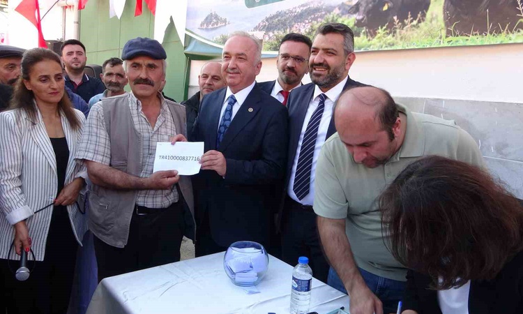Giresun'da düzenlenen törenle 25 yetiştiriciye damızlık manda boğası dağıtıldı | İşte Tüm Ayrıntılar