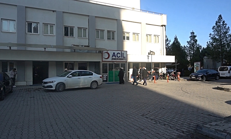 Gölete giren 2 kardeş boğulma tehlikesi geçirdi ve Merak Edilenler
