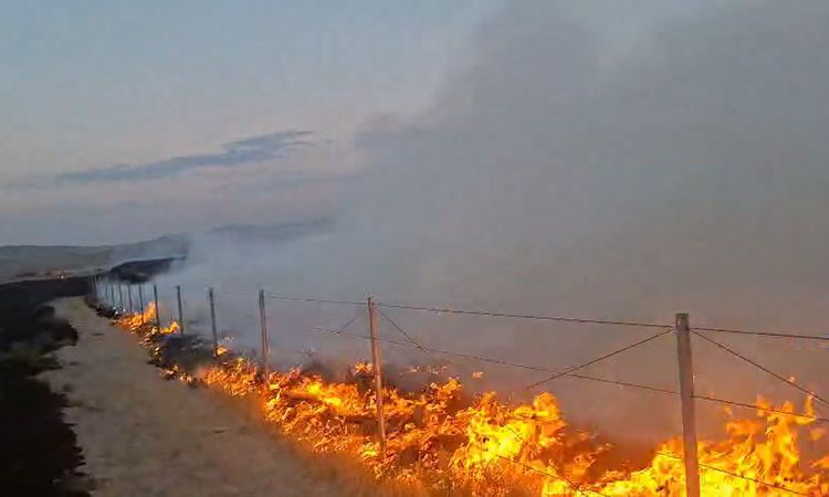 Sıcak Gündem: Gordion SİT Alanında Yangın Çıkaran Şüpheli hakkında tutuklama kararı verildi - Son Dakika Haber