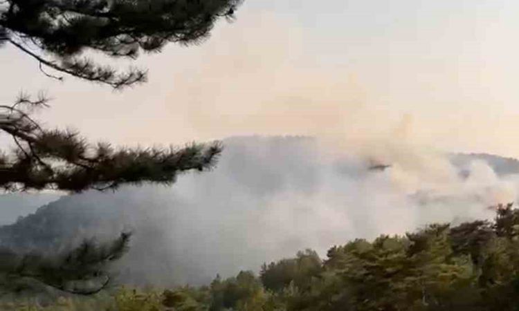 Gündemden Son Bilgiler: Göynük'te Orman Yangını: 3 Helikopterle Müdahale - Son Dakika