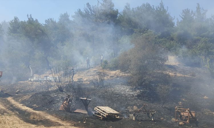 Son Gelişme: Göynük'te otluk alevlerı ahşap eve sıçradı, söndürüldü - Son Dakika - Son Dakika Bilgileri