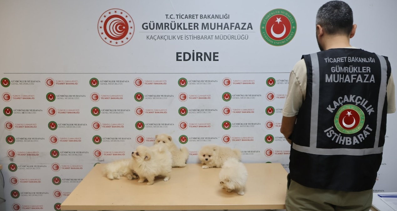 Gümrükte yakalandılar: Tanesi 80 bin TL'den satılıyor - En Son Haber - Son Dakika Bilgileri