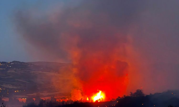 Gündemden Son Bilgiler: GÜNCELLEME 2 - Çanakkale merkezdeki ormanlık alanda çıkan alevler dizginlendi - Son Da