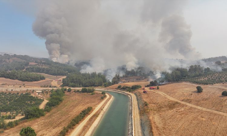 GÜNCELLEME - Adana'daki orman yangını kontrol altına alınmaya çalışılıyor ve Merak Edilenler