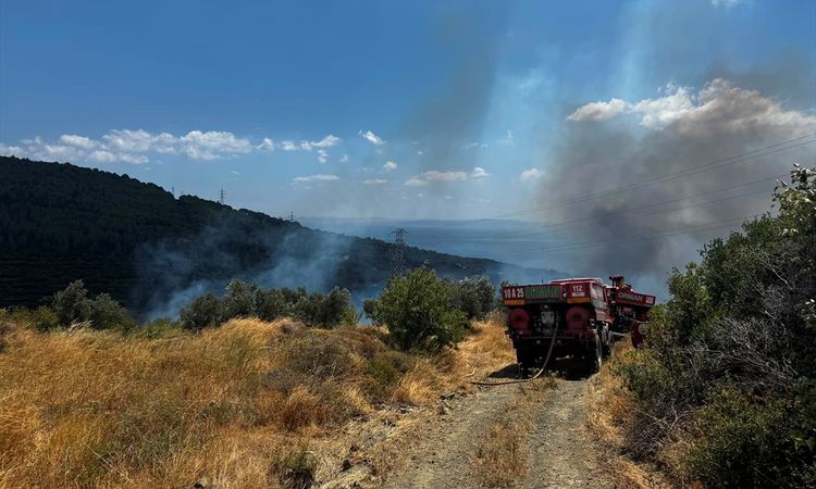Ayrıntılar Netleşti: GÜNCELLEME - Balıkesir'in Erdek ilçesinde çıkan alevler büyük ölçüde dizginlendi - Haberl