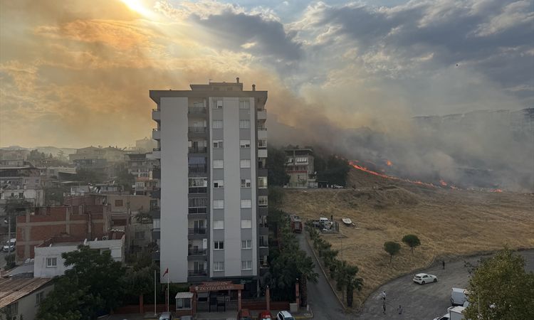 GÜNCELLEME - İzmir'de otluk alanda çıkan alevler dizginlendi - Son Dakika Haberleri ve Merak Edilenler