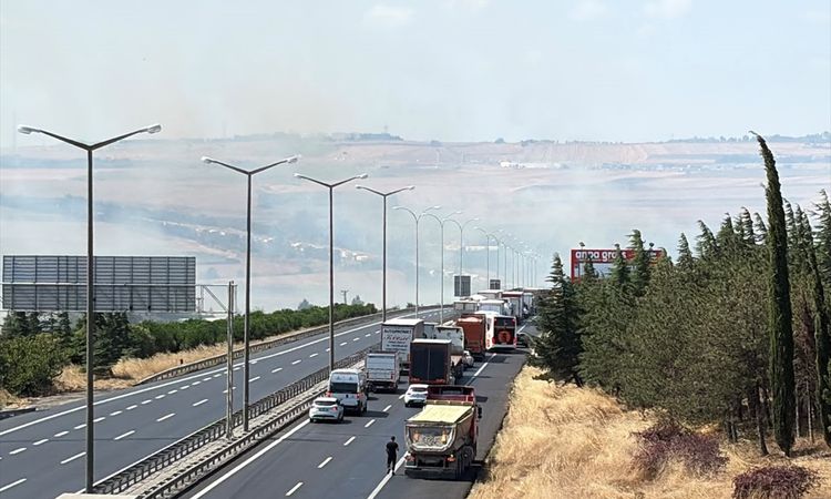 Ayrıntılar Netleşti: GÜNCELLEME - Silivri'de otluk ve ağaçlık alanda çıkan alevler söndürüldü - Son Dakika | İ