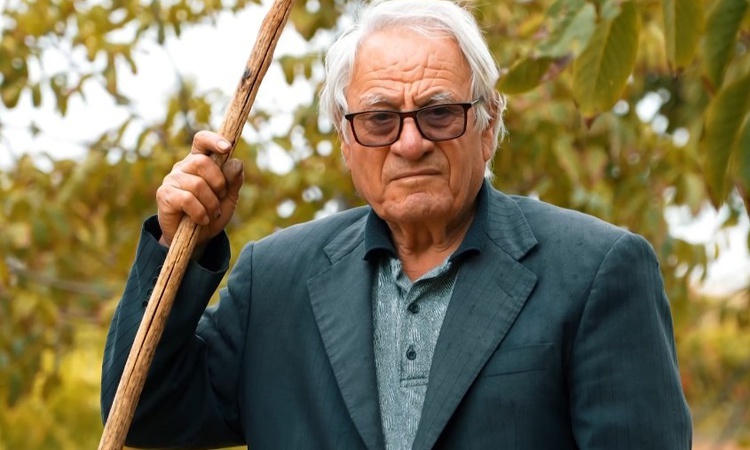 Gündemden Son Bilgiler: 78 yaşındaki Hüseyin Er, Kaman'da ceviz bahçesinde üretmeye devam ediyor - Son Dakika
