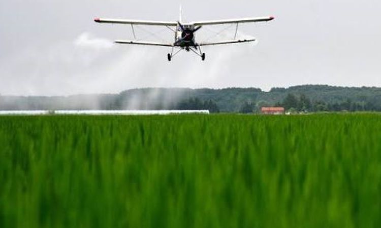 Gündemden Son Bilgiler: ABD'de küçük uçak gerileme kaydetti: 4 ölü ve Merak Edilenler