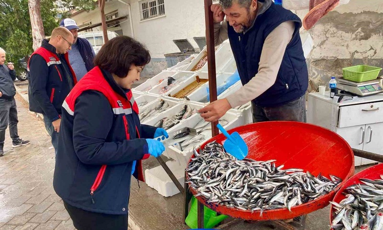 Gündemden Son Bilgiler: Afyonkarahisar Dazkırı'da balık satış noktaları Tarım Müdürlüğünce denetlendi
