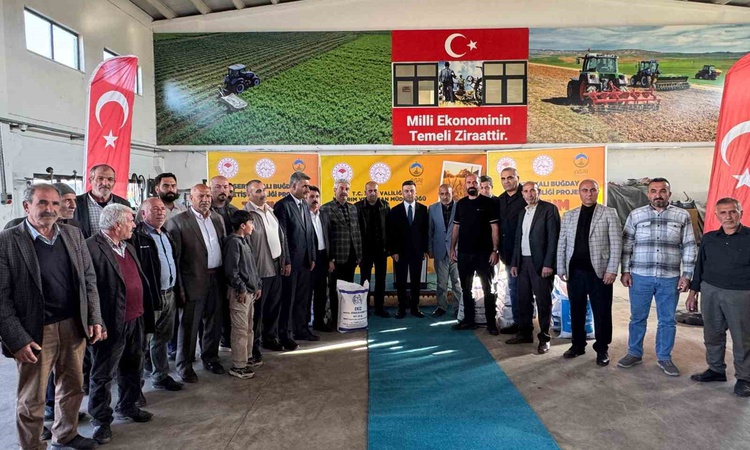 Gündemden Son Bilgiler: Ağrı Tarım ve Orman İl Müdürlüğü 1100 üreticiye 550 ton buğday tohumu dağıttı ve Merak
