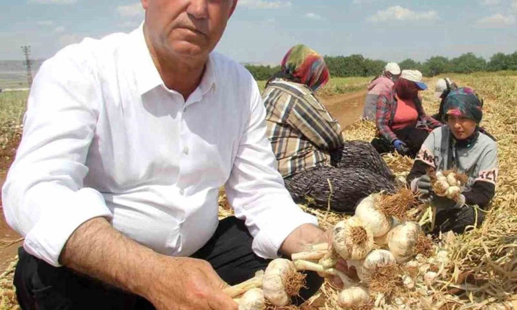 Gündemden Son Bilgiler: Araban Ziraat Odası Başkanı Altun, 15 Ekim Dünya Kadın Çiftçiler Günü mesajı yayımladı