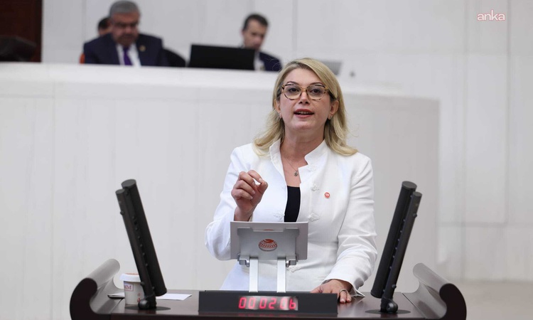 Gündemden Son Bilgiler: Asu Kaya, Osmaniye'nin eğitim desteği kapsamı dışında tutulmasını TBMM'ye taşıdı ve Me