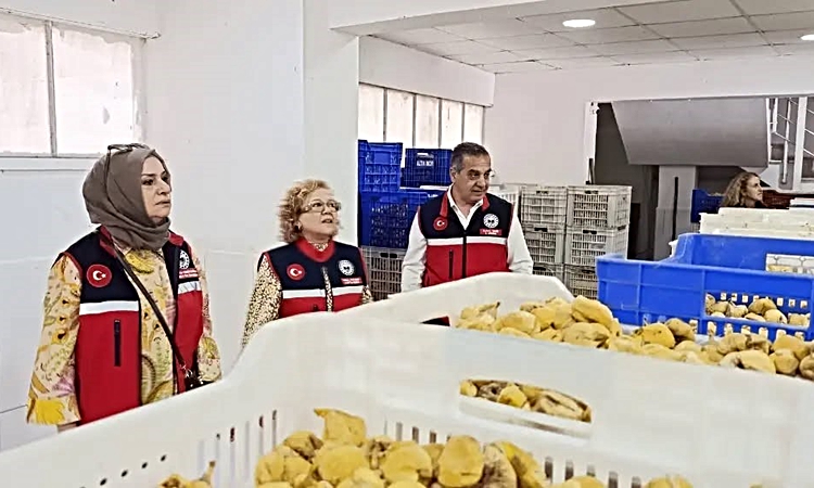 Gündemden Son Bilgiler: Aydın İnciri için Nazilli’deki tesislerde denetimler aralıksız sürüyor: Gelişmeler Tak