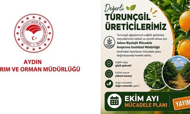 Gündemden Son Bilgiler: Aydın Tarım ve Orman Müdürlüğü, turunçgil üreticilerini Ekim ayı mücadelesine uyardı v