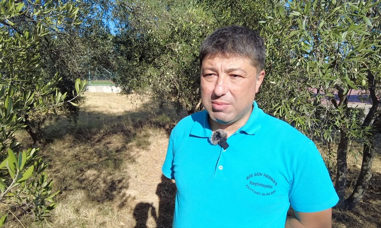 Gündemden Son Bilgiler: BAÜN'lü Kıvrak, zeytin hasadında ortaklaşa ve makineli yöntemi önerdi ve Merak Edilenl