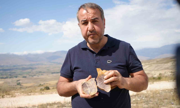 Gündemden Son Bilgiler: Bayburtlu öğretmenin doğa merakı fosil keşfine dönüştü: Ağaç ve deniz canlısı fosiller