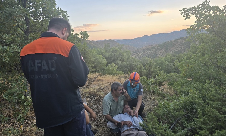 Gündemden Son Bilgiler: Bingöl Genç'te palamut toplamaya giden kişi ormanda kayboldu, sağ bulundu ve Merak Edi