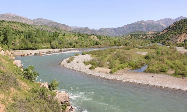 Gündemden Son Bilgiler: Bingöl İdare Mahkemesi, Birsu HES'in ÇED Olumlu kararını iptal etti - Son Dakika Bilgi