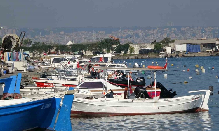 Gündemden Son Bilgiler: Birlik Başkanı Malkoç, palamut bolluğunda tüm palamutların tutulmasını istedi ve Merak