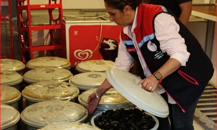 Gündemden Son Bilgiler: Bolu'da Abant gişelerinde 650 kilo bozuk midye imha edildi, sorumlusuna ceza verildi: