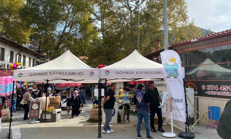 Gündemden Son Bilgiler: Bolu Göynük'te kurulan SİBERAY standı vatandaşları siber suçlara karşı ayrıntıları bil