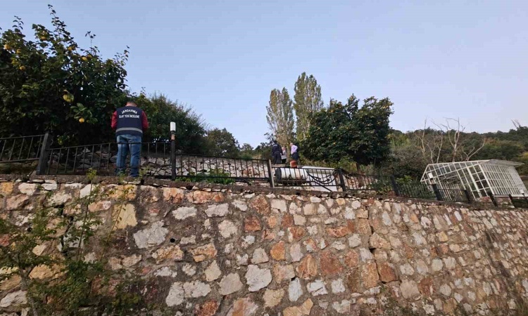 Gündemden Son Bilgiler: Bursa Orhangazi'de 30 güneş paneli çalındı, değeri 500 bin lira ve Merak Edilenler
