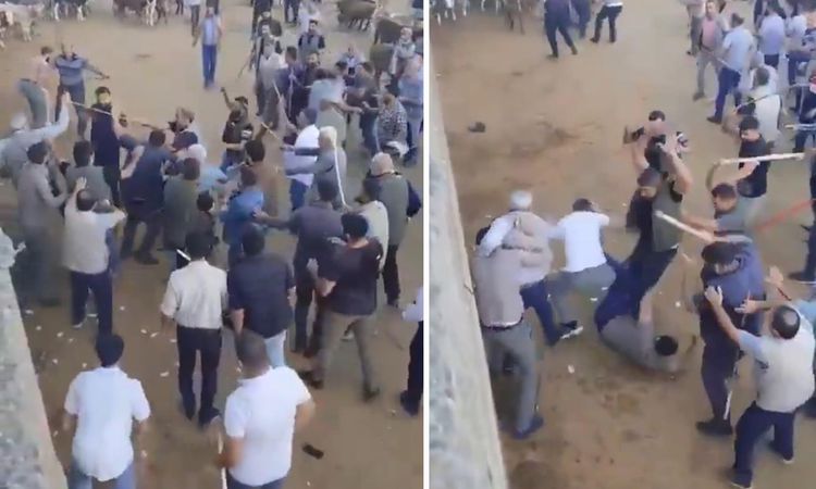 Gündemden Son Bilgiler: Canlı hayvan borsasında öldüresiye kavga: Gelişmeler Takip Ediliyor