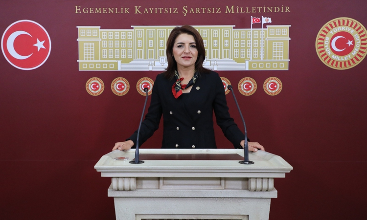 Gündemden Son Bilgiler: CHP'li Kış, Mersin narenciye lojistik krizi için 3 bakanlığa soru önergesi verdi - Son
