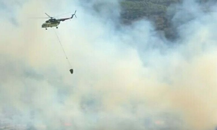Gündemden Son Bilgiler: Çine'de Orman Yangını: Havadan ve Karadan Müdahale Sürüyor
