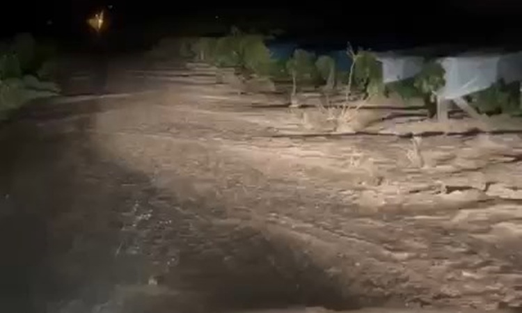 Gündemden Son Bilgiler: Elazığ'da sağanak dereleri taşırdı, Kıraç ve Hoş'ta üzüm bağlarını su bastı