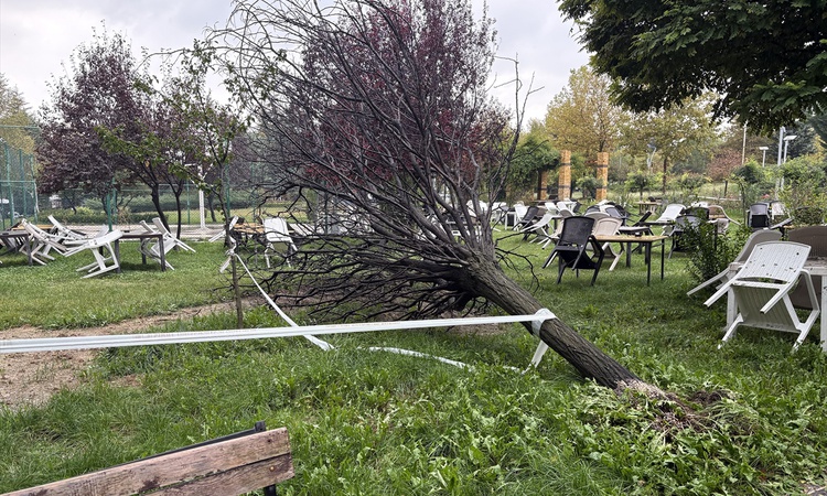 Gündemden Son Bilgiler: Elazığ'da sağanak ve rüzgarda devrilen ağaç Fırat Üniversitesi yakınında araca gerilem