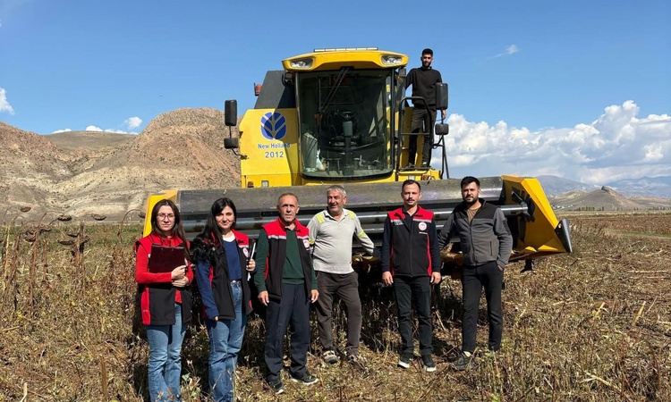 Gündemden Son Bilgiler: Erzincan Çayırlı'da ayçiçeği hasadında biçerdöver denetimi sürüyor | İşte Tüm Ayrıntıl