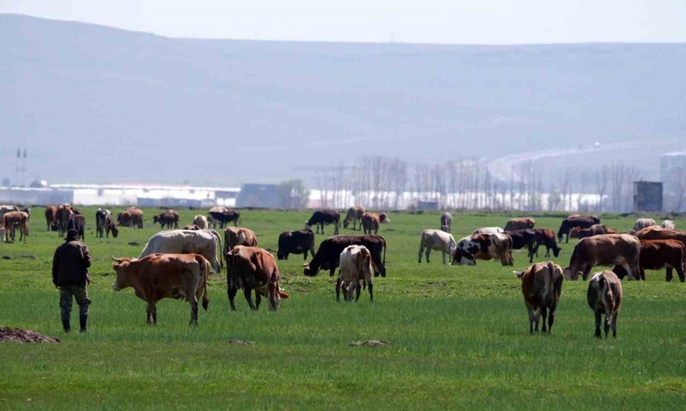 Gündemden Son Bilgiler: Erzurum'da KKYP kapsamında 329 proje 171,2 milyon TL hibe desteği aldı: Gelişmeler Tak